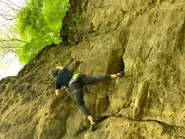 Niko Schonsheck